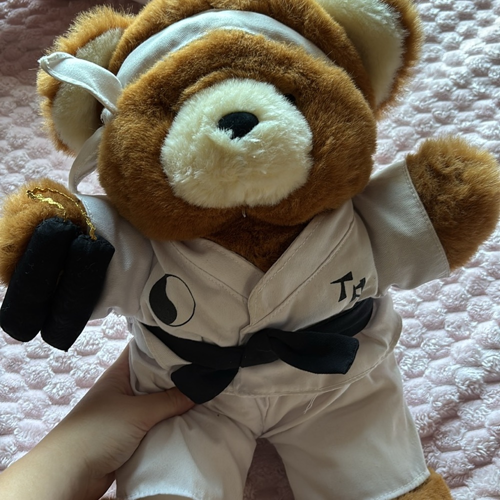 Kung Fu Bear - Picture 8 of 8